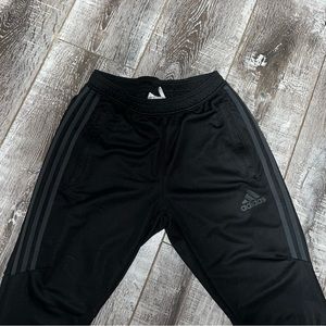 Climacool Adidas Track Pants